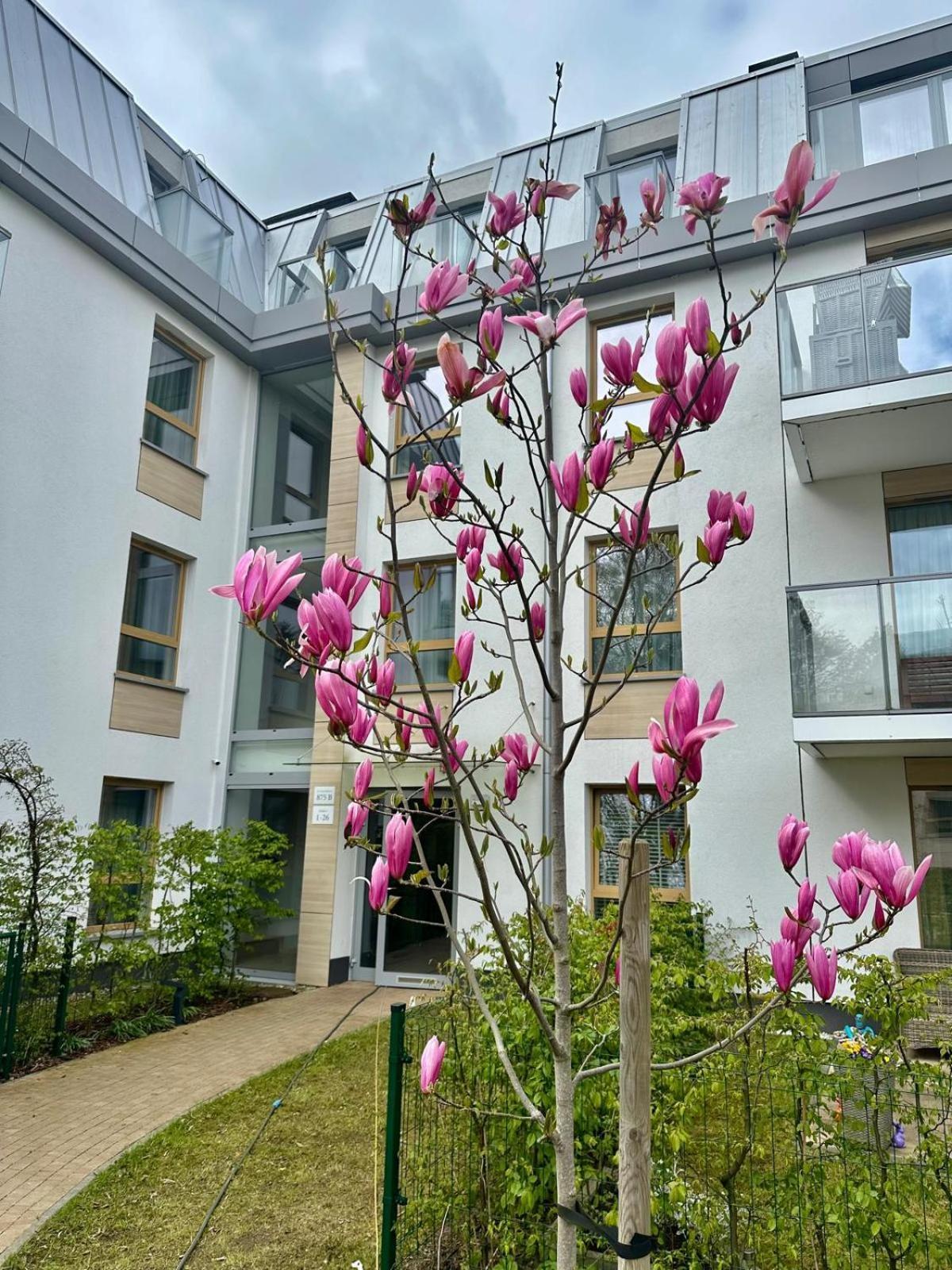 Nice Sopot Exterior foto